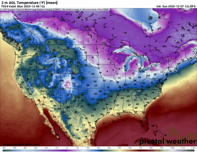 Freezing Fog, Strong Winds, and Another Arctic Front